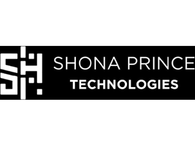A shona prince technologies esta a recrutar (250) agentes de