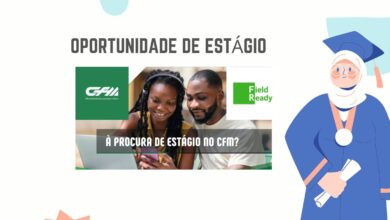 Estágio no cfm: guia para conseguir estágio no portos e