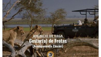 Vaga – gestor (a) de frotas