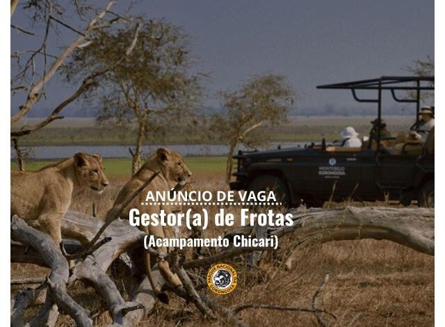 Vaga – gestor (a) de frotas