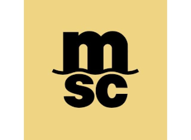 A msc esta a recrutar assistentes em diversas areas