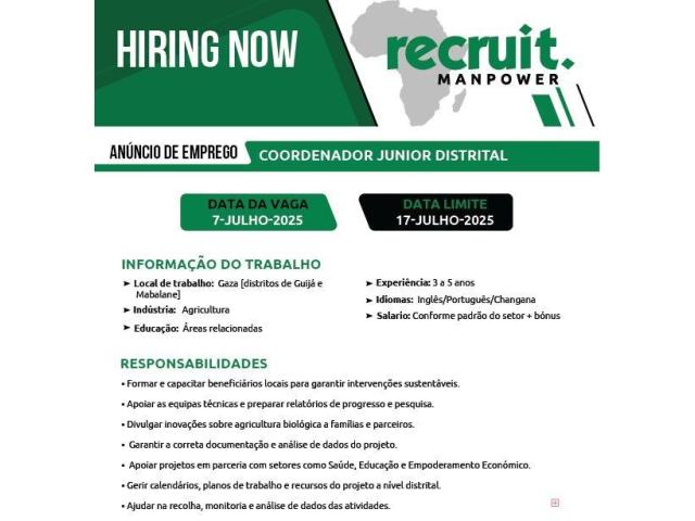 Vaga – coordenador junior distrital