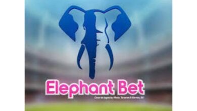 Vaga designer gráfico júnior (elephant bet)