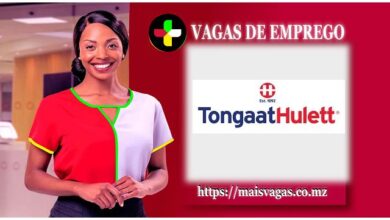 Vaga para gestor da tesouraria (m/f) (tongaat hulett)