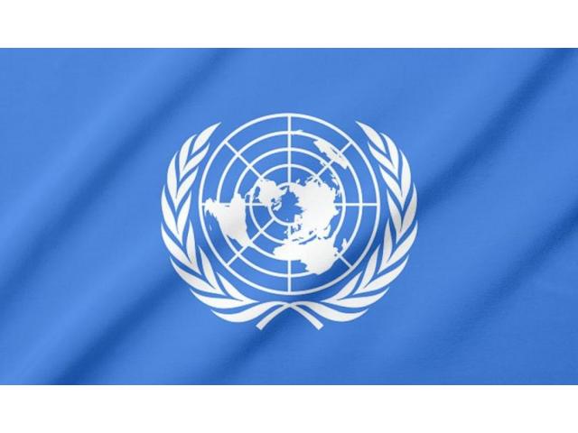 Vaga – communications associate – maputo