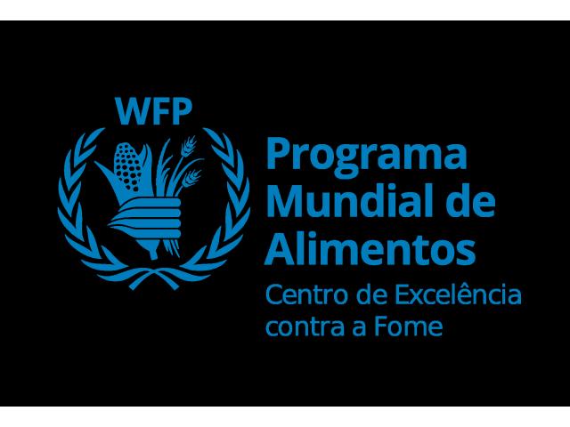 Vaga – programme policy officer (head of programme) consultant level