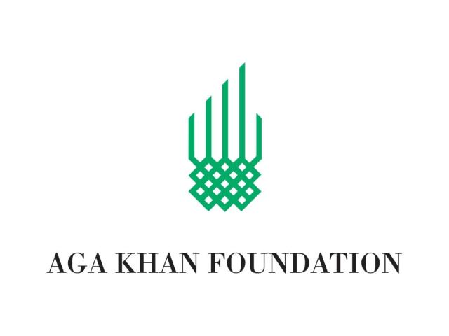 Vaga – strides project manager