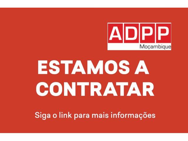 Vagas – (3) oficiais sénior de monitoria e avaliação (adpp