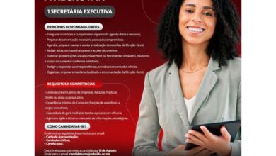 Vaga – secretária executiva (mls scaffolding, lda,)