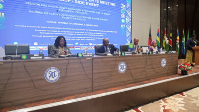 Madagáscar assume presidência da sadc na 45ª cimeira a se