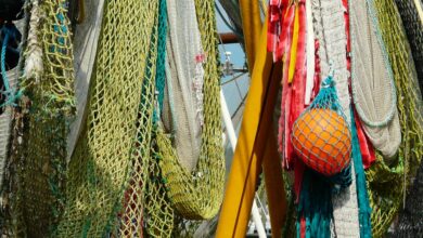 Poluição de rios leva ao abandono da pesca em manica