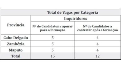 Recruta se (12) inquiridores (m/f) (ine)