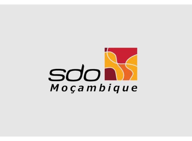 Vaga – administrador de sistemas júnior (sdo moçambique)