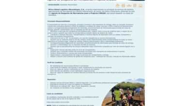 Vaga – agente de despacho de mercadorias – zambezia (m/f)