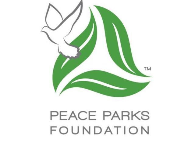 Vaga – counter poaching unit coordinator