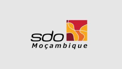 Vaga – technical assistant (sdo moçambique)