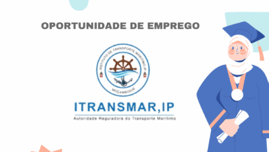 O instituto do transporte marítimo, ip (itransmar, ip) recruta (31)