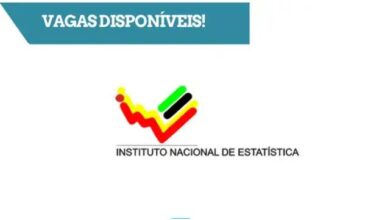 O instituto nacional de estatística da cidade de maputo tem