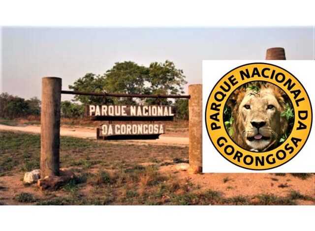 O parque nacional da gorongosa esta a receber cv,s envie