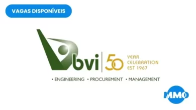 Vaga na bvi: fiscal sénior