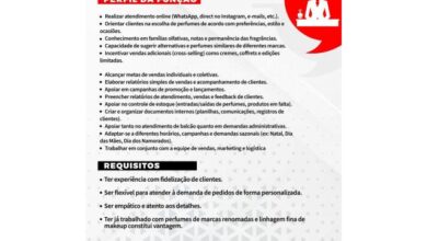 Vaga para marketeer maputo
