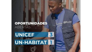 As nações unidas abre (4) oportunidades de voluntariado
