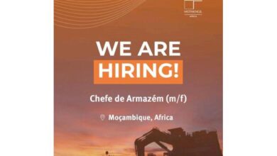 Vaga – chefe de armazém (m/f)