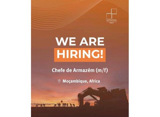 Vaga – chefe de armazém (m/f)