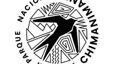 Concurso público para (05) vagas no parque nacional de chimanimani