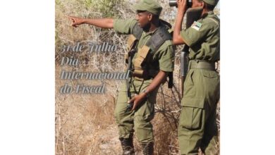 Concurso público para (09) vagas no parque nacional de banhine