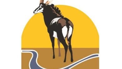 Concurso público para (102) vagas no parque nacional de limpopo