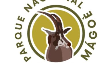 Concurso público para (53) vagas no parque nacional de mágoè