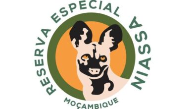 Concurso público para (66) vagas no parque especial de niassa