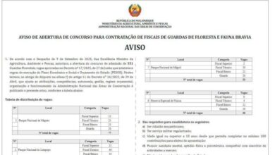 O estado esta a contratar (351) funcionarios com 7ª