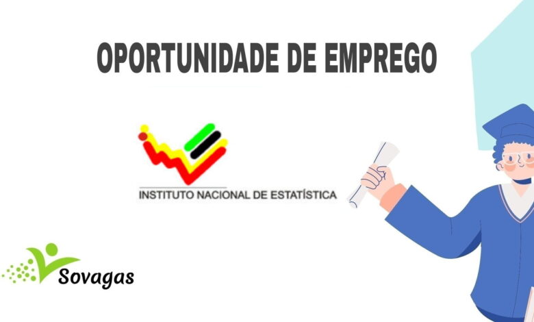 O instituto nacional de estatística (ine) abre (02) vagas de
