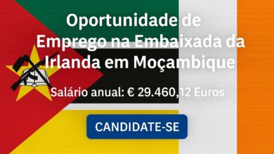 Oportunidade de emprego na embaixada da irlanda em moçambique