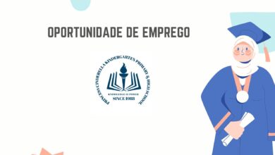 A princess cinderella school recruta (05) professores para sua equipa