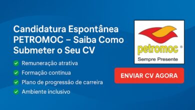 Candidatura espontânea petromoc – saiba como submeter o seu cv