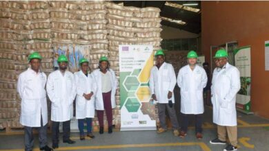 Vaga para motorista seed co international mozambique lda