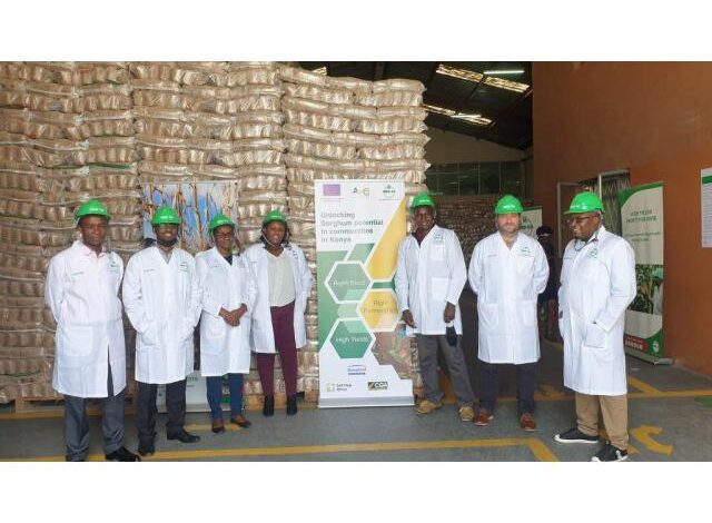 Vaga para motorista seed co international mozambique lda