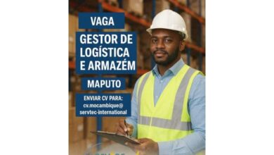 Vaga – gestor(a) de logística e armazém