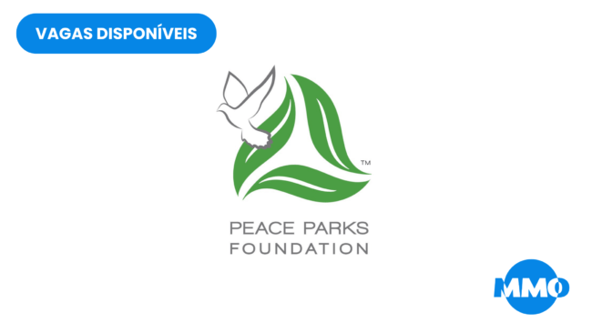 Human resources coordinator