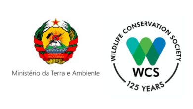 Assistente de campo (mergulhador) – monitoria de recifes e pescas