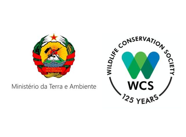 Assistente de campo (mergulhador) – monitoria de recifes e pescas