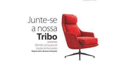 Vagas – sete (7) membros da equipe de gestão de