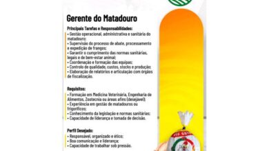 Vaga – gerente do matadouro