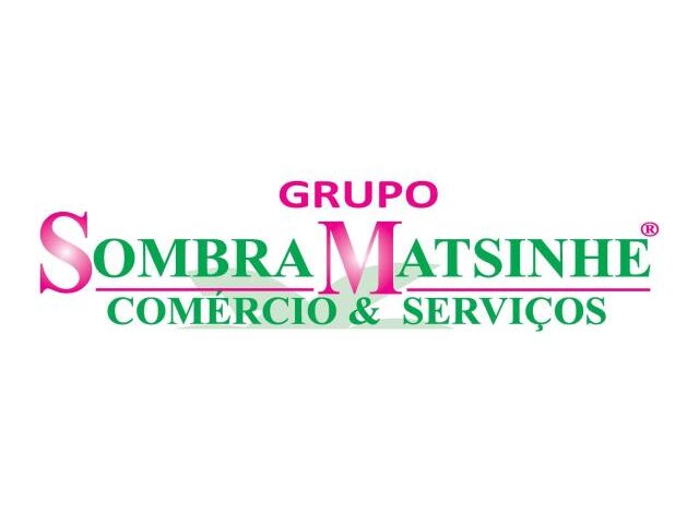 O grupo sombra matsinhe recruta com urgência, técnicos de diferentes