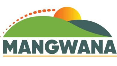 A technoserve abre 19 vagas de estágio para formados em