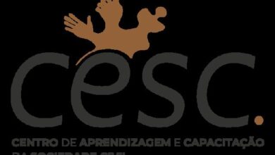 Consultoria para o ciclo feminist mel: bootcamps, tocs regionais e