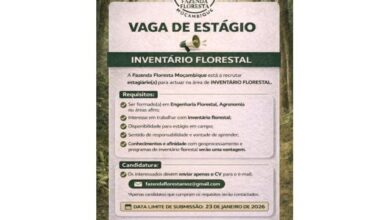 Vaga de estÁgio – inventÁrio florestal